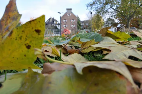 Herbstlaub_Susmühle_1004