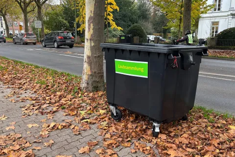 Unter anderem an der Klever Straße steht ein Laub-Container (Foto: Torsten Matenaers)